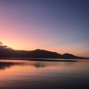 Meet your Posher, Tammie